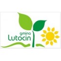 Lutocin